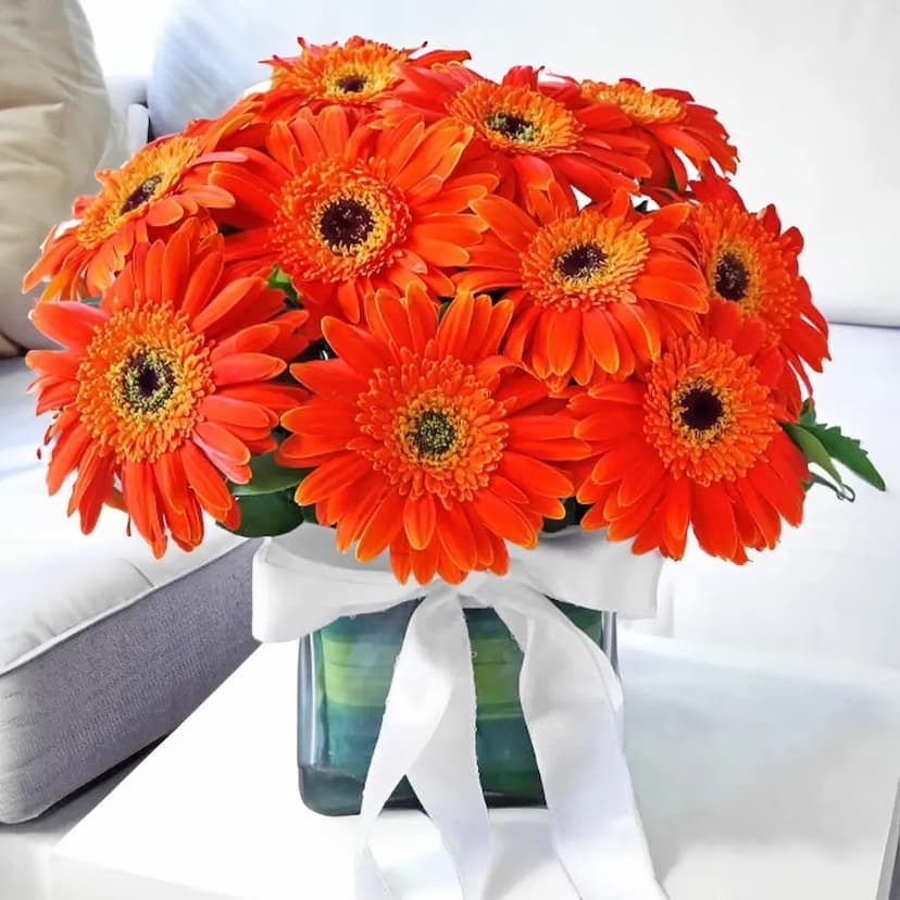 10 orange gerberas in a vase