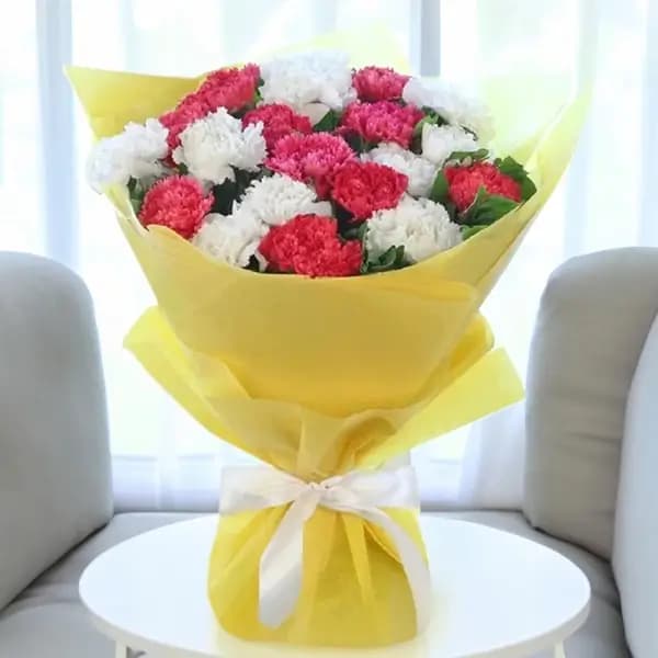 25 white and red carnations bouquet