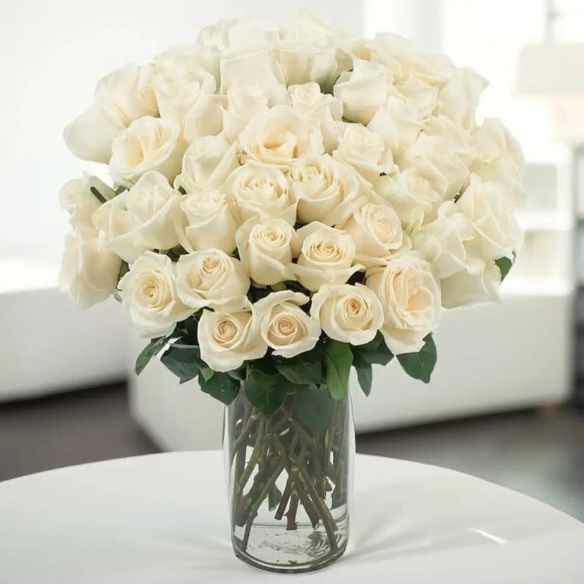 40 white roses in a vase