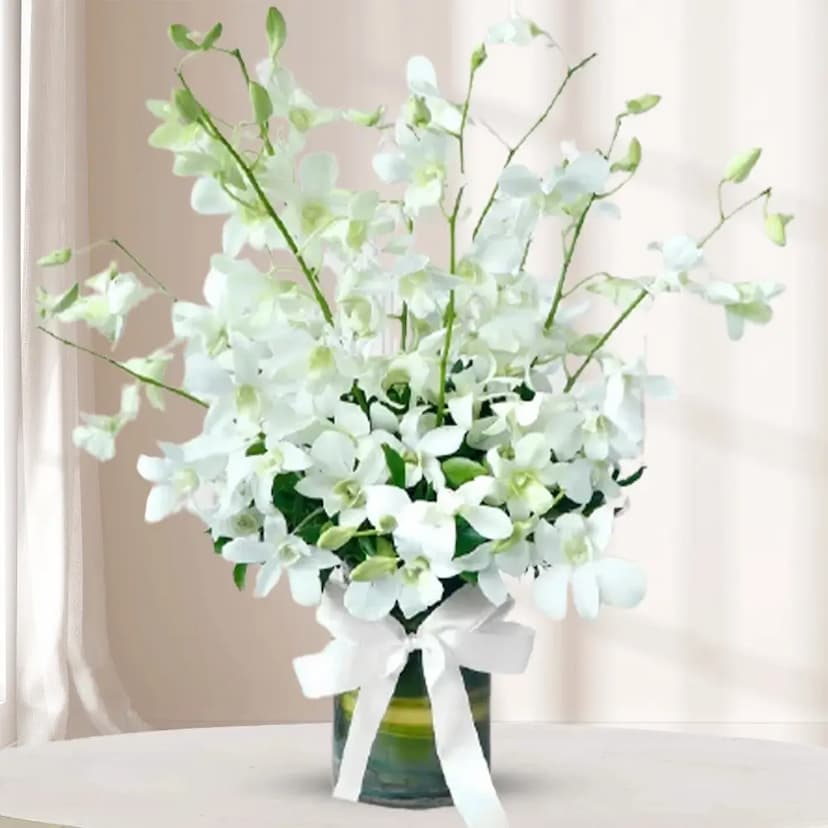 7 white orchids in a vase