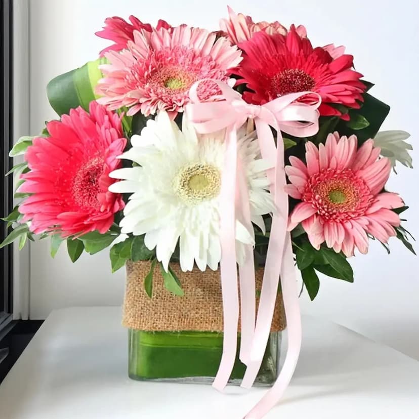 8 mixed gerberas in a vase