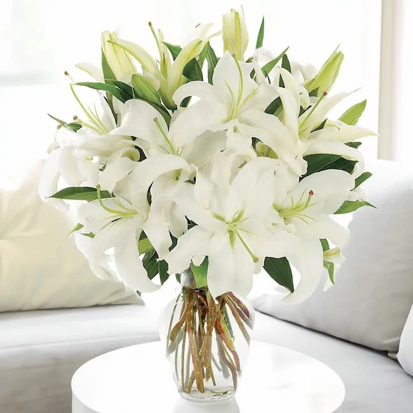 white lilies in a vase