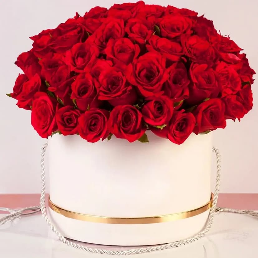 Red Roses in a Round Box