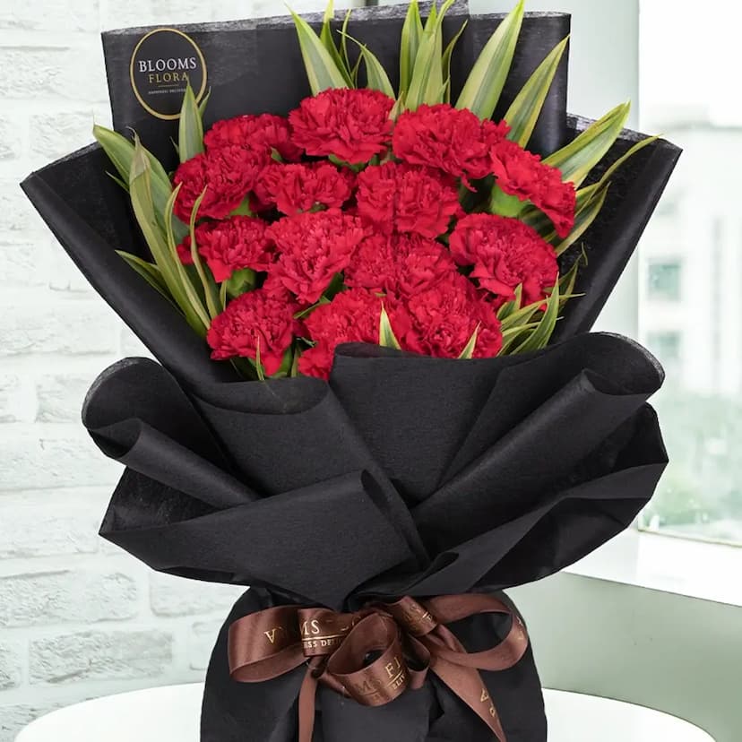 15 carnations bouquet