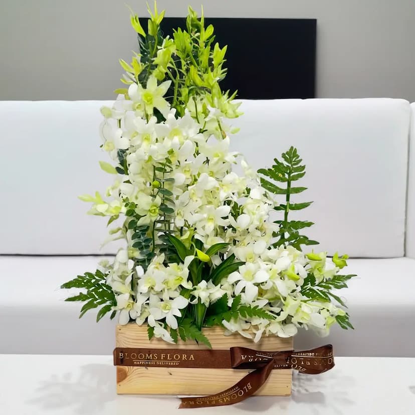 20 white orchids in a wooden box