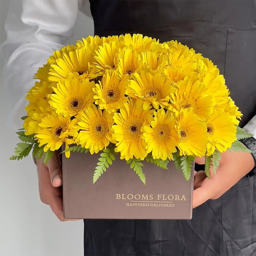 40 yellow gerberas in a brown square box