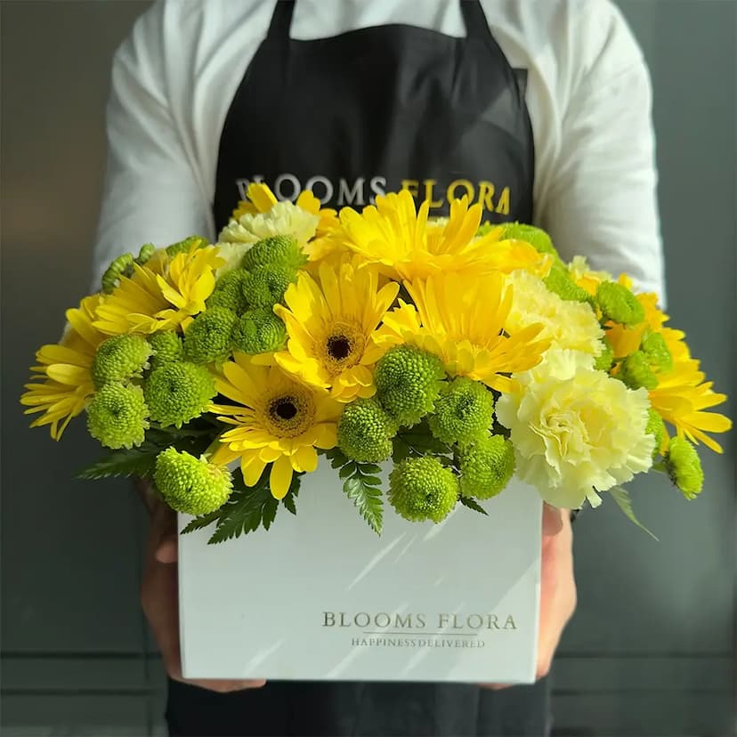 12 yellow gerberas, 10 yellow canations and 5 green chrysanthemums in white box