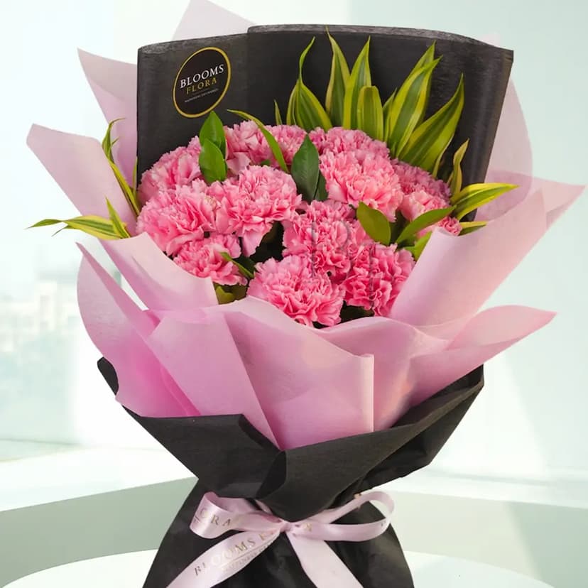 18 Pink Carnations Bouquet