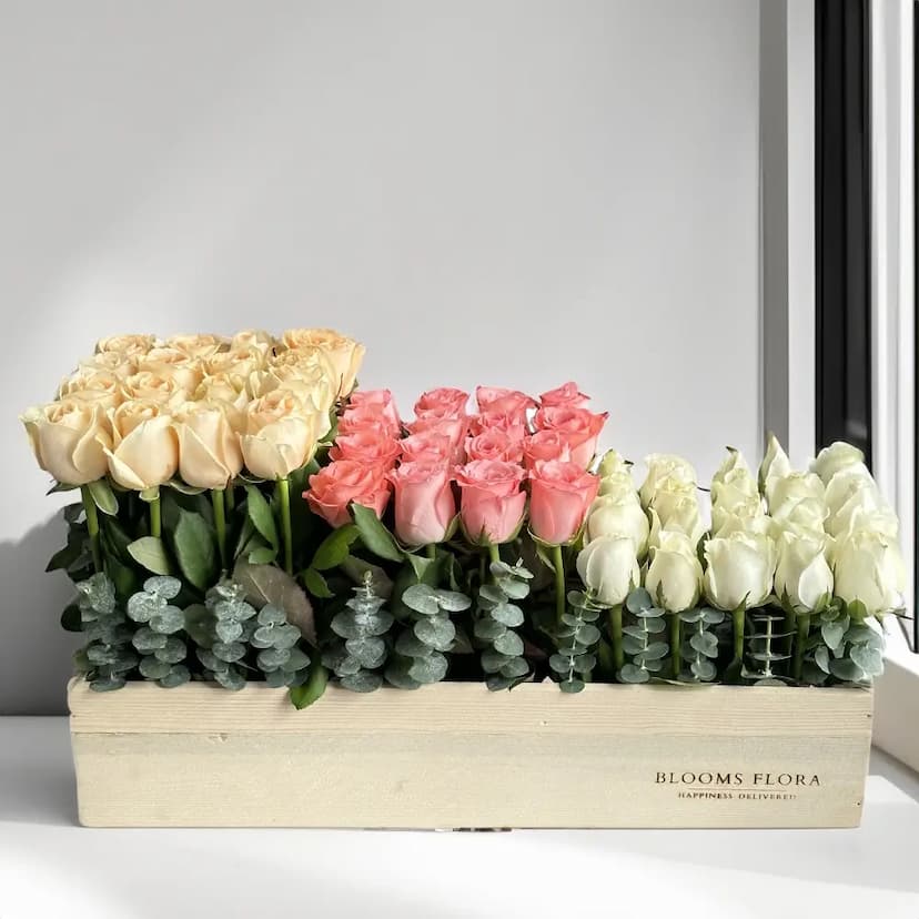 20 white, 16 pink and 16 peach roses in a wooden box