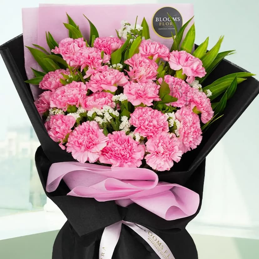 20 Pink Carnations Bouquet