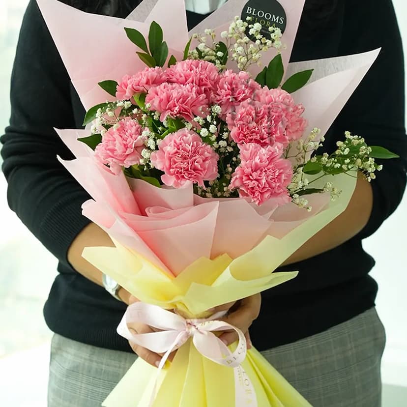 10 pink carnations bouquet