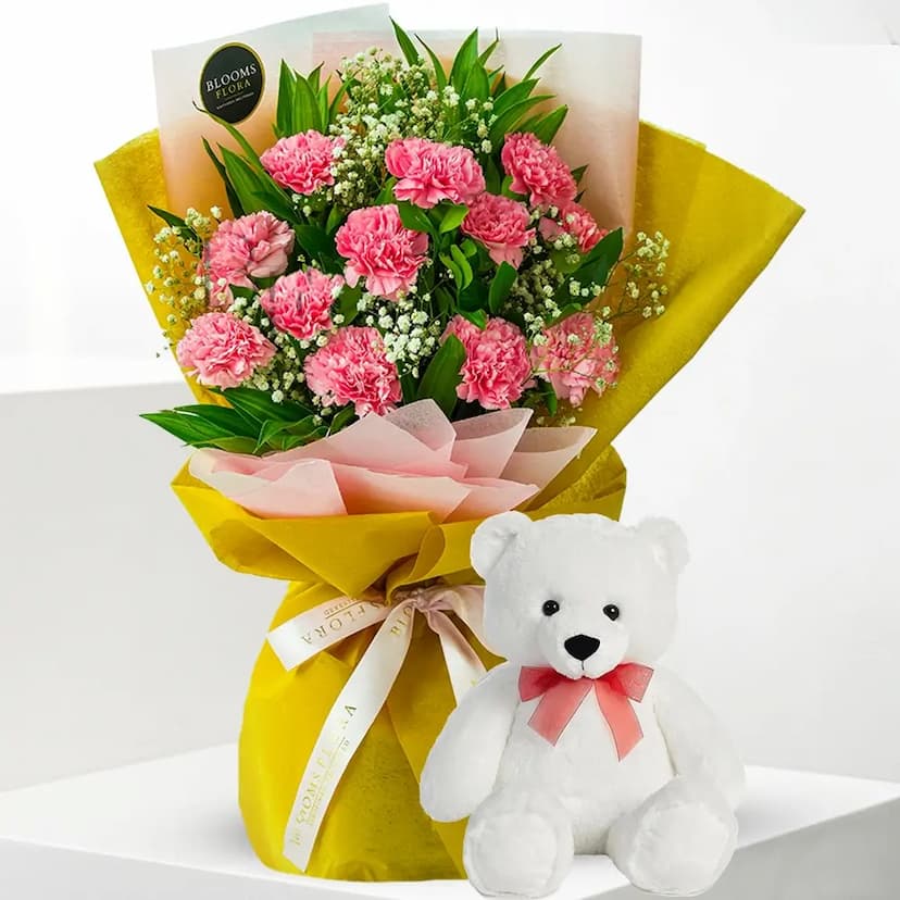 Carnations Bouquet & Teddy