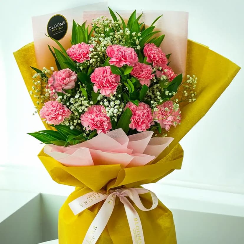 10 Pink Carnations Bouquet