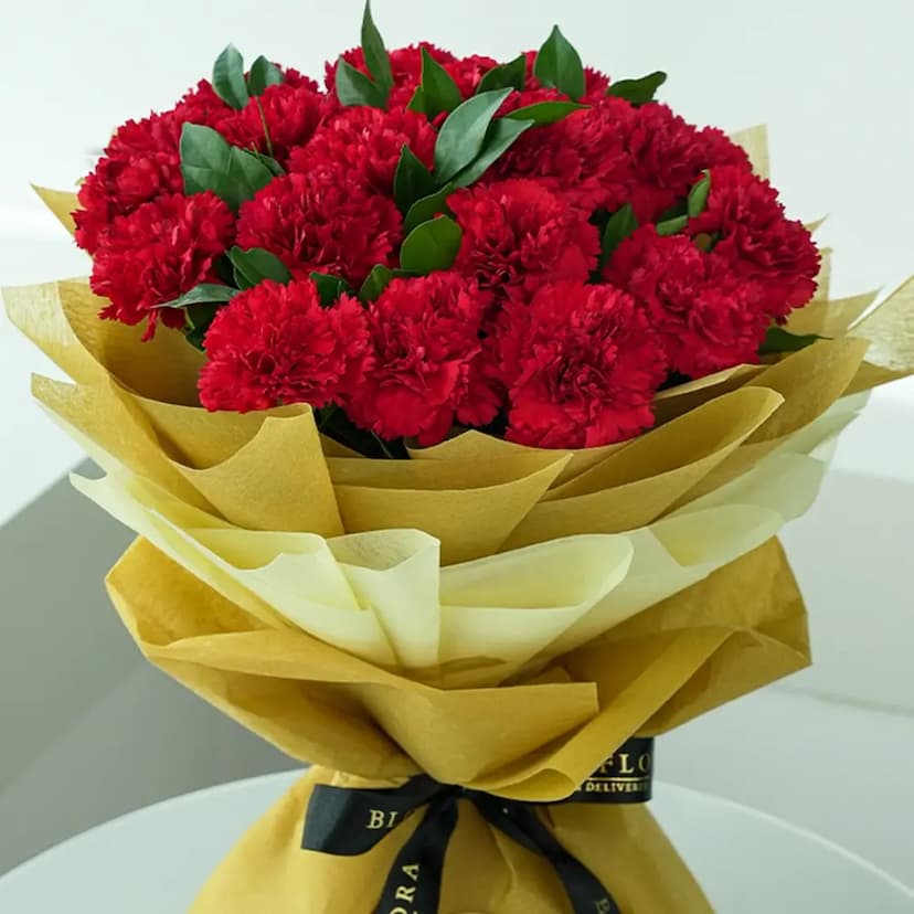 20 red carnations bouquet