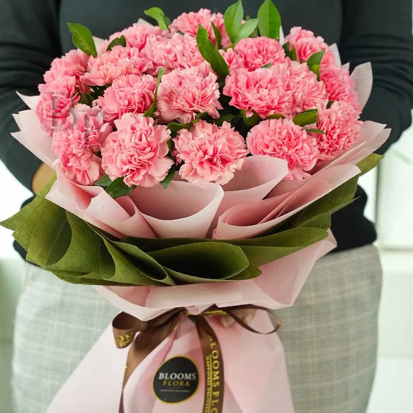 30 pink carnations bouquet