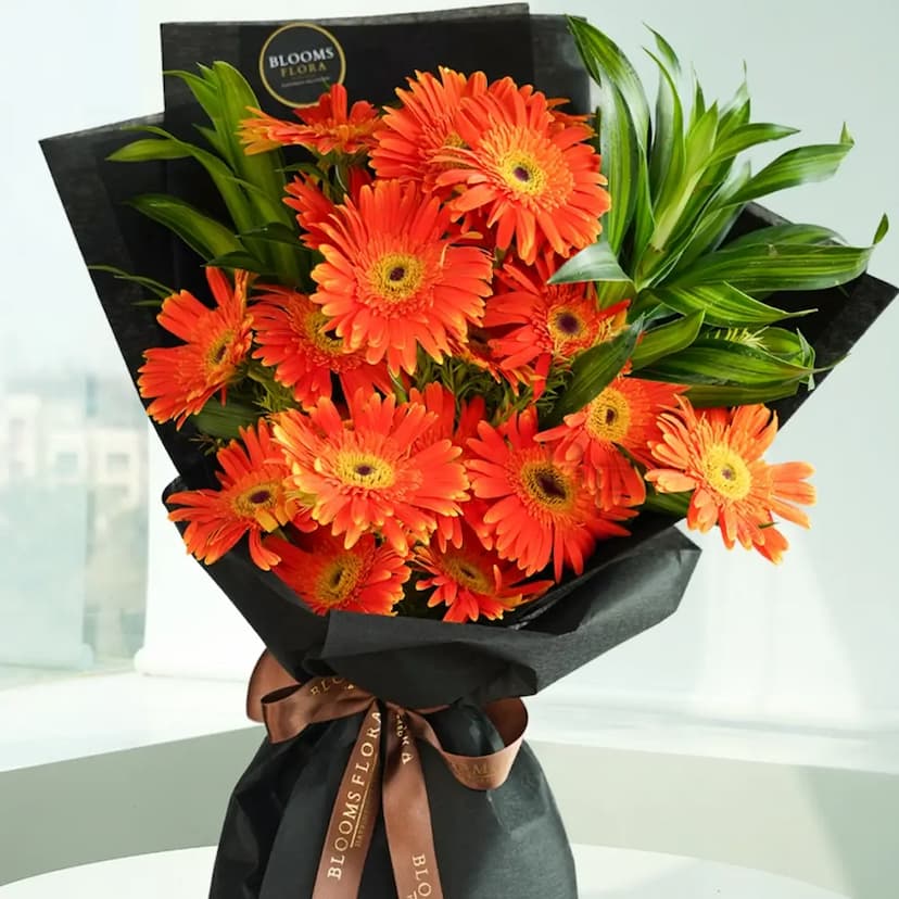 15 orange gerberas bouquet