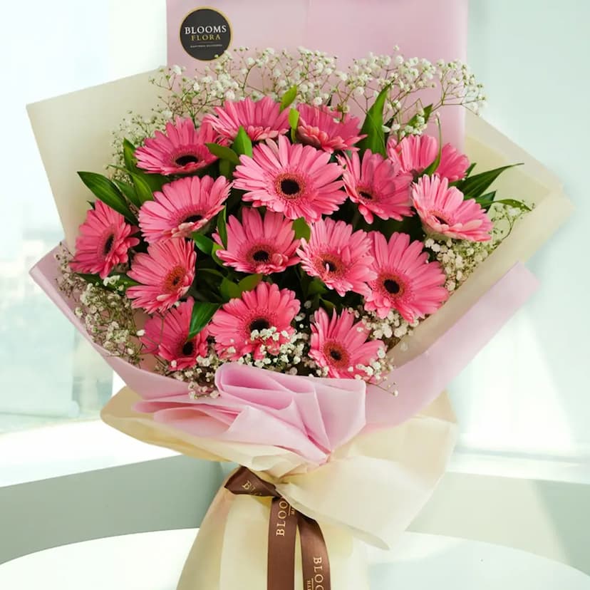 15 pink gerbera bouquet