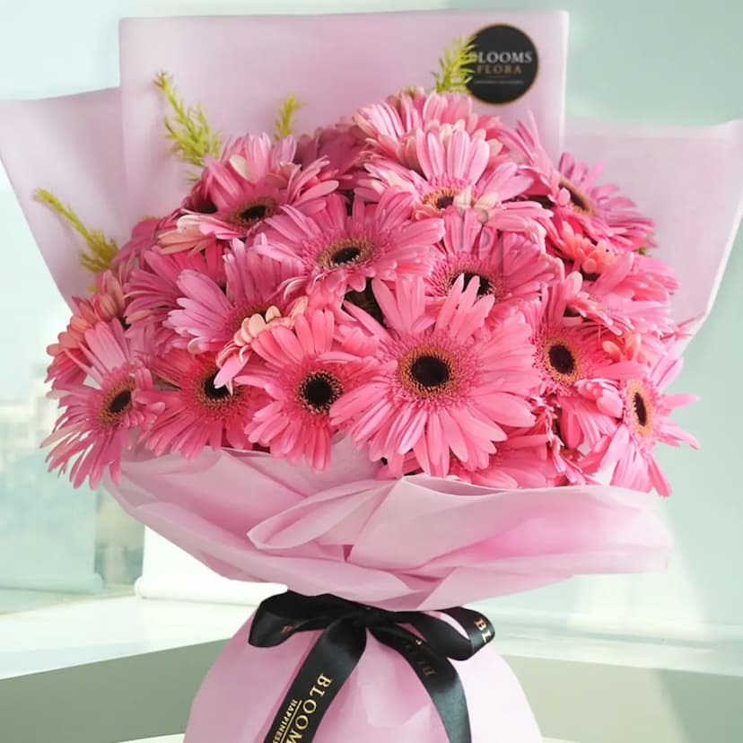 30 pink gerberas bouquet