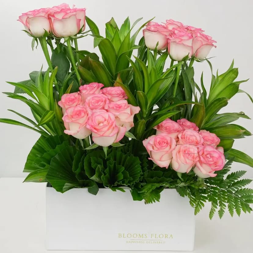 28 pink roses in a white box