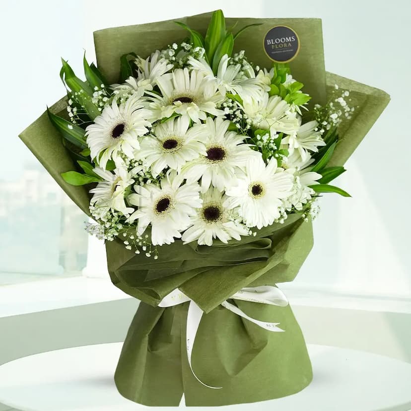 bouquet of 15 white gerberas