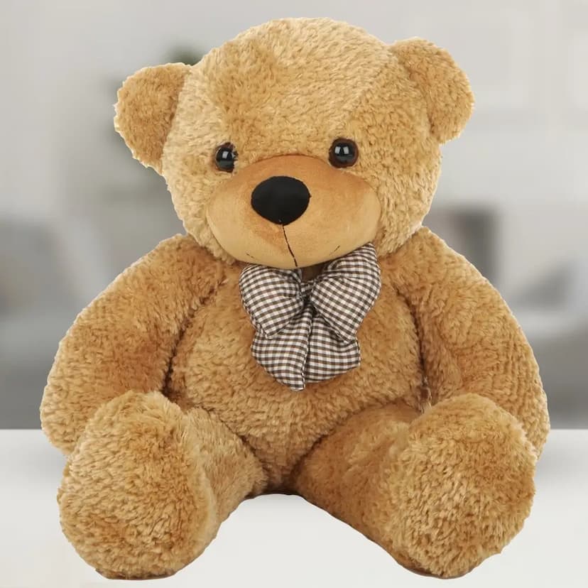 24 Inches Teddy