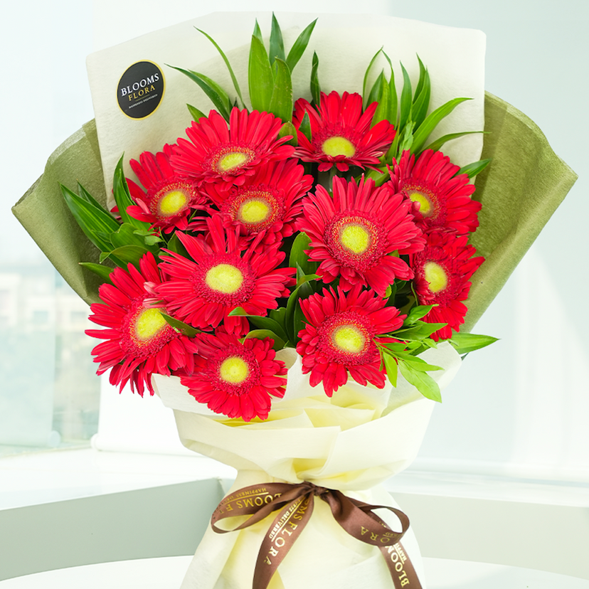 12 red gerberas bouquet