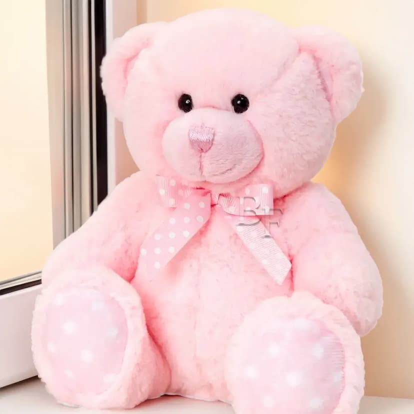 Small Pink Teddy Bear