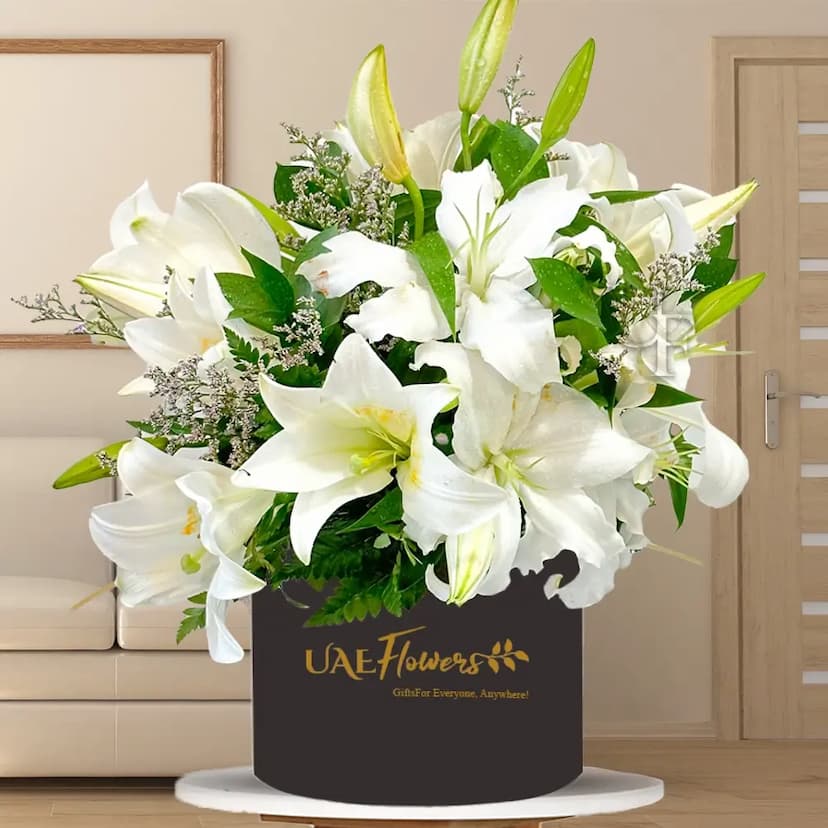 Box of 5 White Lilies