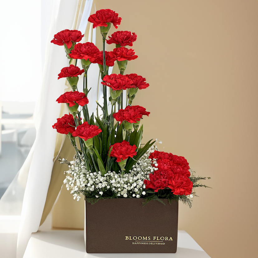 Red Carnations in Box