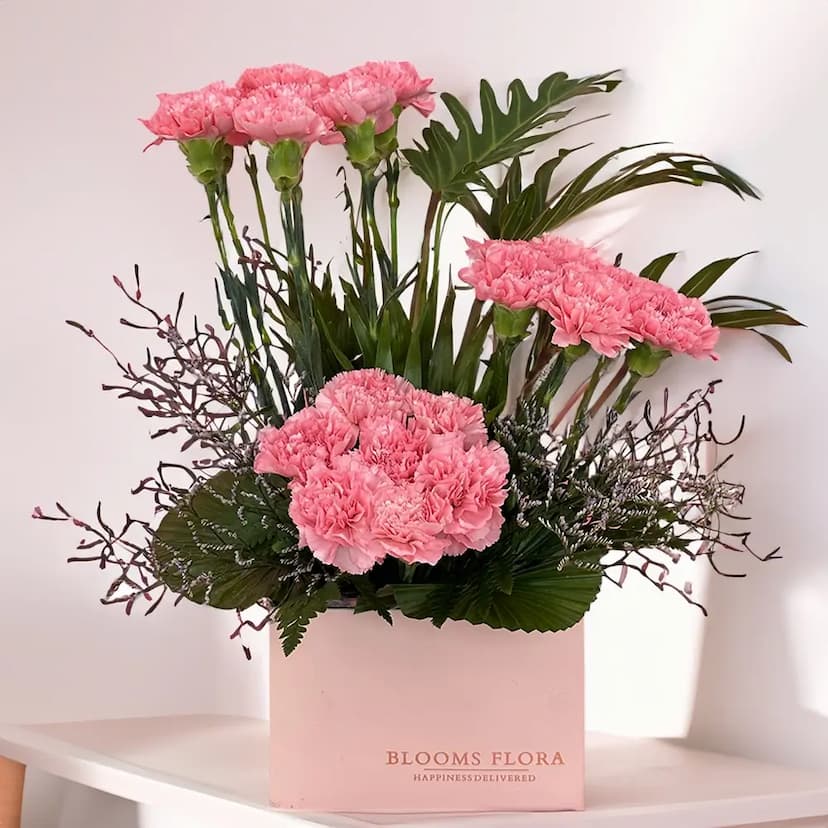 Pink Carnations in Box