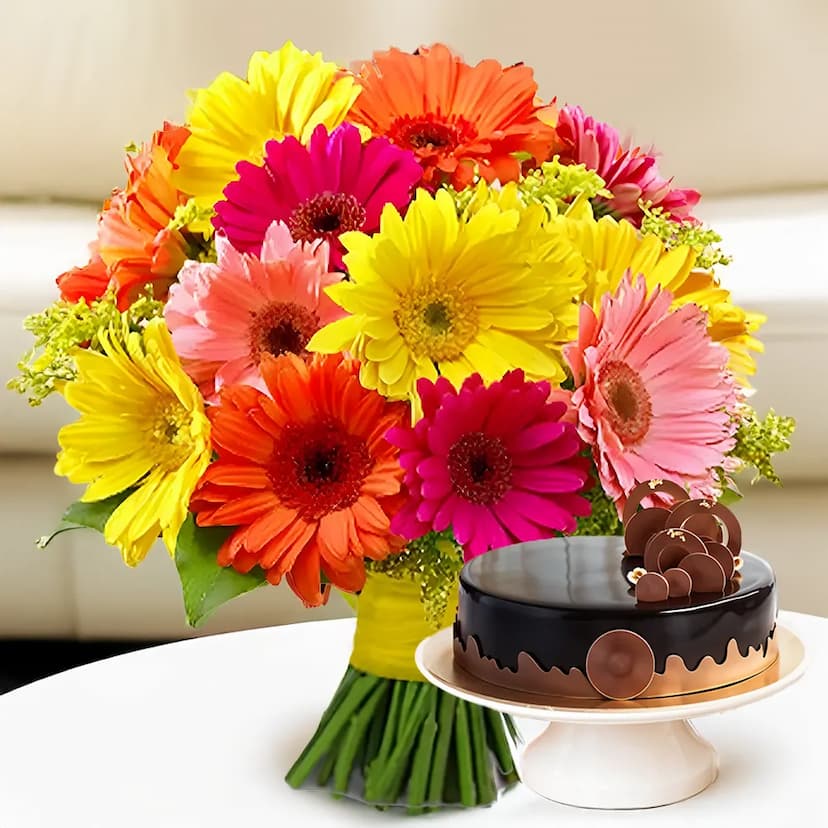 15 gerberas bouquet with half kg chocolate cake