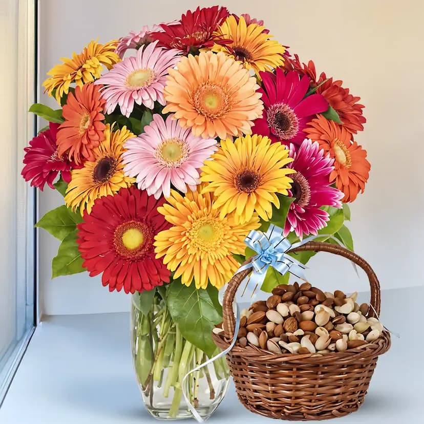 Gerberas N Dryfruits