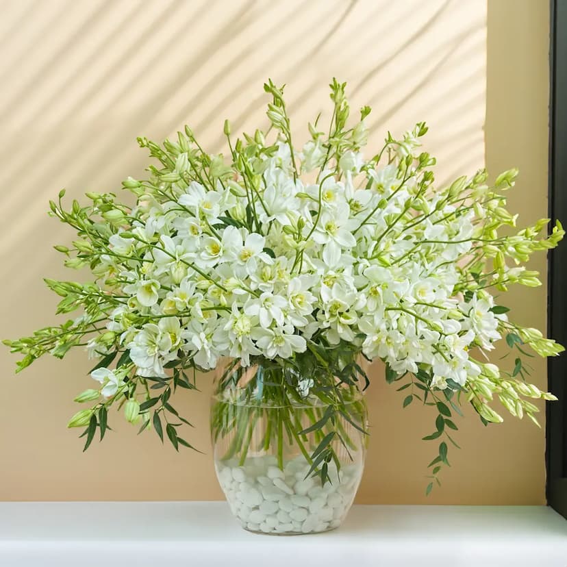 40 white orchids in a glass vase