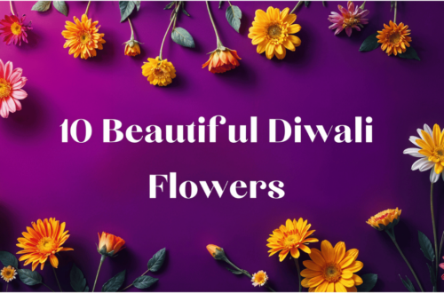 Diwali Flowers main banner