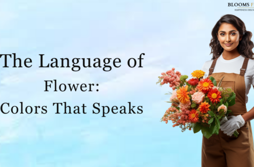 A florist holds a vibrant bouquet in a blue background. The title 'The Language of Flower: Colors That Speaks' is displayed with a Bloomsflora logo