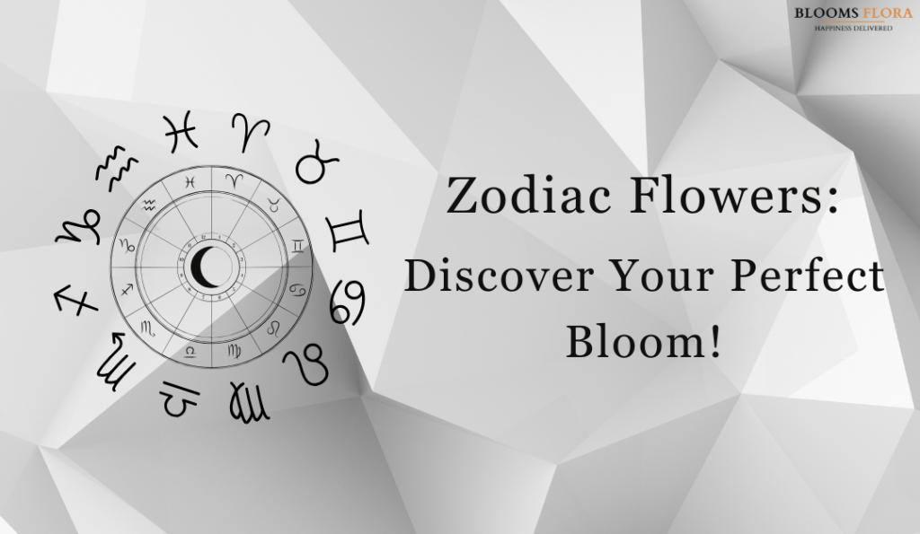 A modern, minimalist banner with a monochromatic geometric background. Zodiac symbols with a text read 'Zodiac Flowers: Discover Your Perfect Bloom!