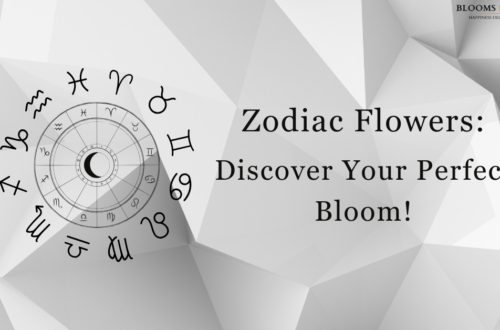 A modern, minimalist banner with a monochromatic geometric background. Zodiac symbols with a text read 'Zodiac Flowers: Discover Your Perfect Bloom!